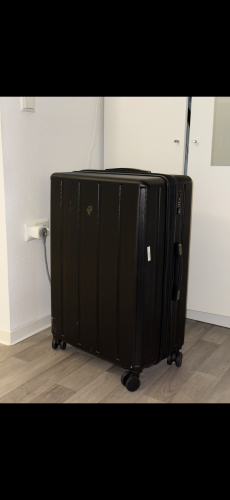 Large hardshell travel case (black)